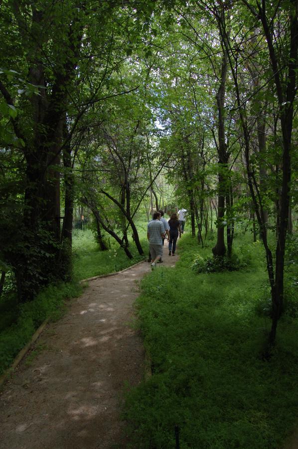 Hosteria Millahue San José de Maipo Dış mekan fotoğraf